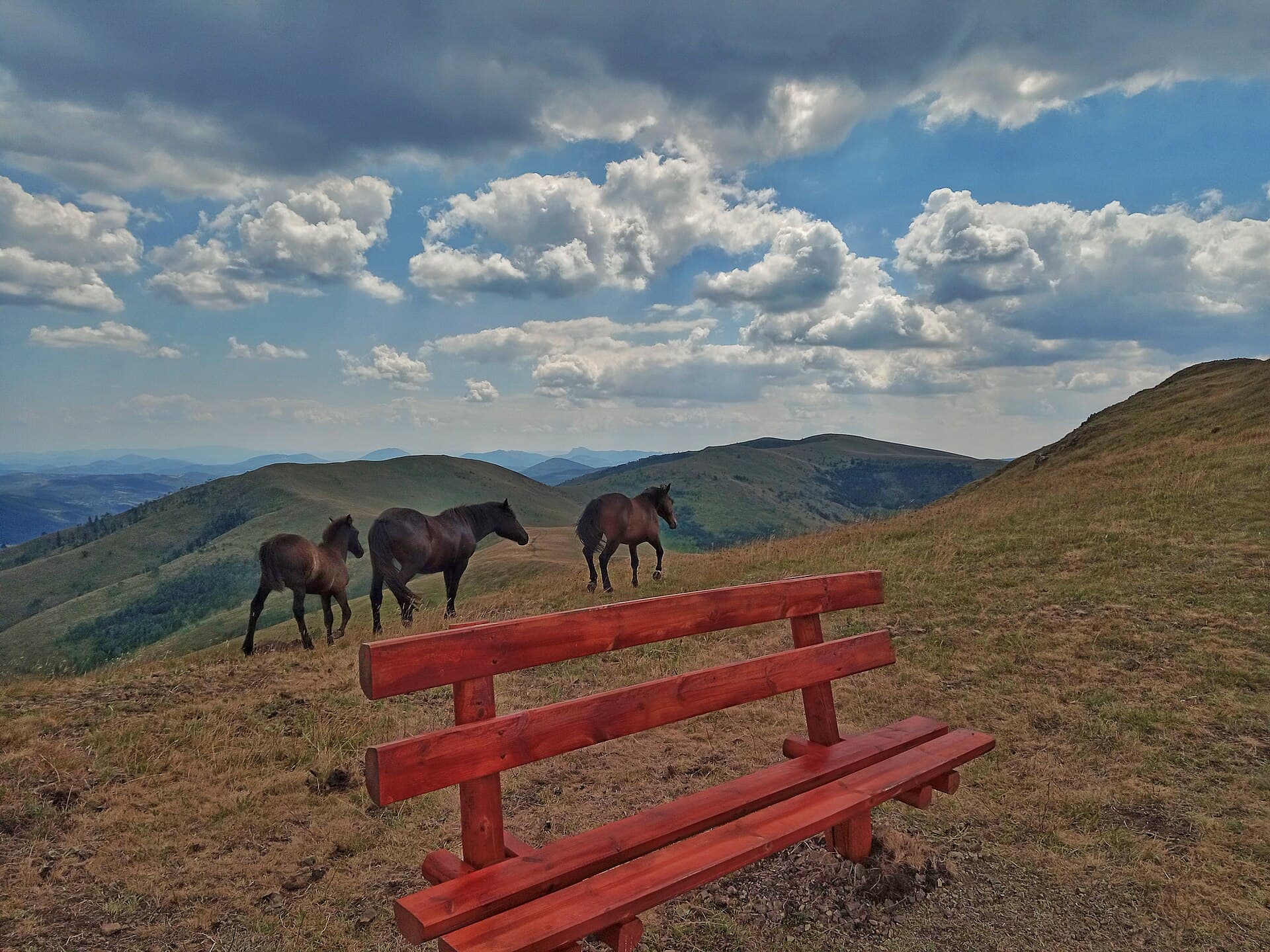 Planina Zlatibor